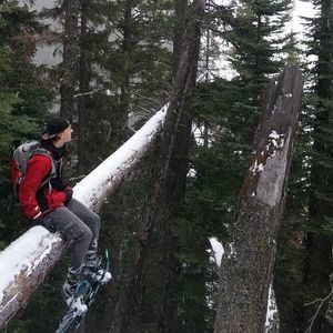 Meet your Posher, Devon